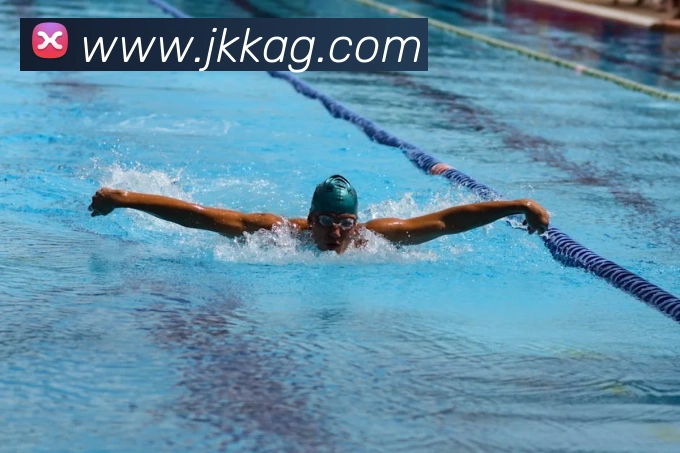 ag官网平台生态图